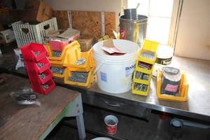 lot 290 image: Lot of Fasteners    with Screws, Nuts, Bolts, Nails, Misc. Fasteners