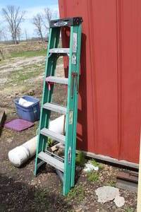 lot 8 image: Werner Step Ladder Green 6H