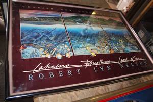 lot 326 image: Cherish Our Land & Sea by Robert Lyn Nelson Framed Wall Art 38Wx26H
