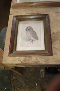 lot 329 image: Owl by  #1508 Print in Wood Frame with Matte