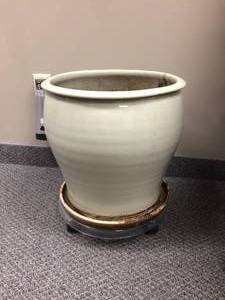 lot 99 image: Large Tree Planter Pot Container On Wheels - Needs Cleaning Up - No Chips Or Cracks - Used For A Large Ficus Tree & Fed Coffee Grounds...Hence Need For Clean Up