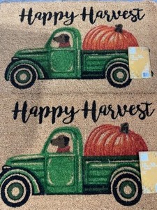 HOME ACCENTS HOLIDAY 18 IN. X 30 IN. DOOR MAT. SEE PICTURES