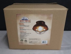 lot 20 image: NE IN BOX WHITE RIVER CEILING LIGHT