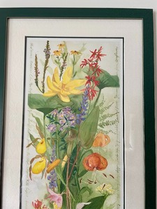 lot 174 image: J. Eccola Numbered Floral Print