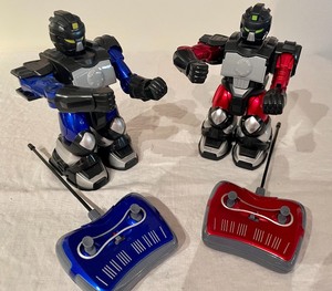 lot 361 image: Remote Control Merch Source Fighting Robots