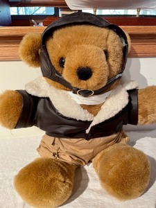 lot 386 image: Aviation Teddy Bear and Pilot Doll