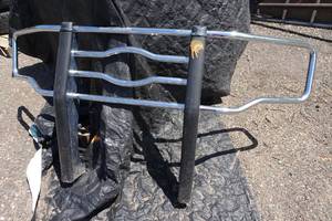 Luverne Chrome Brush Guard for Ford Pickup