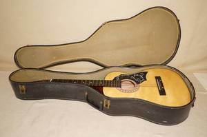 lot 2 image: Global Acoustic Guitar with Case