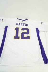 Viking jersey