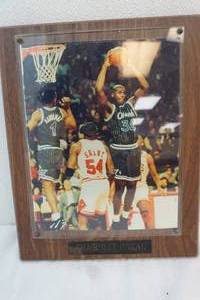 Shaquille O Neal picture