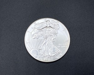 lot 10 image: 2017 American Silver Eagle Coin