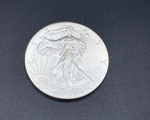 lot 11 image: 2017 American Silver Eagle Coin