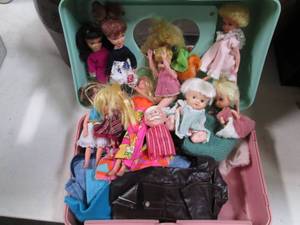 lot 30 image: Naturally Pretty Caboodle Style Tra...