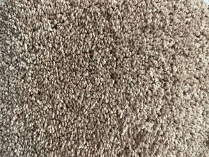 12 x 196 Roll (234 Sq Ft) Shaw Glee Carpet