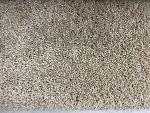 12 x 13 Roll (156 Sq Ft) Karastan Casa Palmero Villaggio Carpet