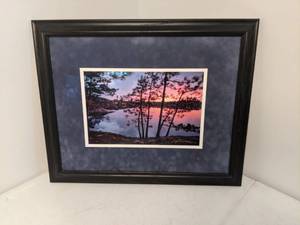 lot 84 image: Jim Brandenburg Signed & Framed Print Sunset Through Pine Trees