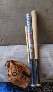 lot 105 image: Baseball Bats & Glove