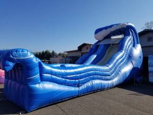 lot 303 image: 19 Ft Wild Wave super Waterdry slide