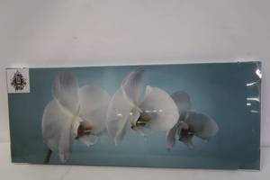 lot 659 image: Graham & Brown 40-615 Teal Orchid Printed Canvas Art