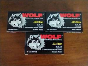 60 Rounds .223 FMJ Ammunition