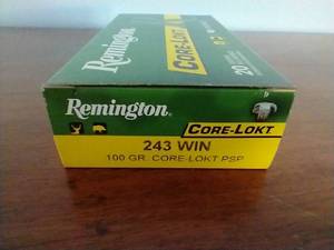 20 Rounds .243 Pointed Soft Point Ammunition