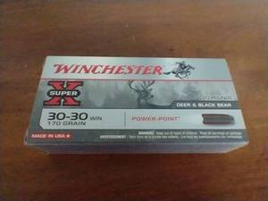 20 Rounds 30-30 Power Point Ammunition