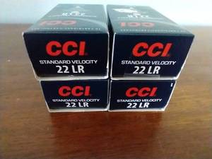 200 Rounds .22 Ammunition