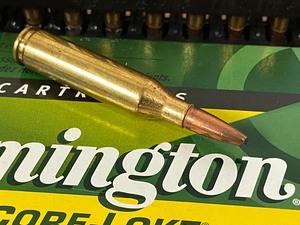 (20) Rounds .243-Win