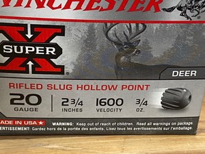 (5) 20gauge Slugs