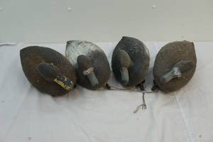 Duck decoys, light