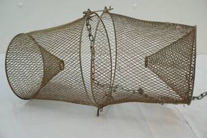 Minnow trap