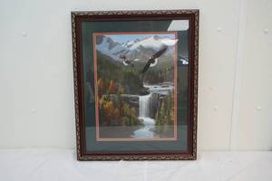 Eagle picture