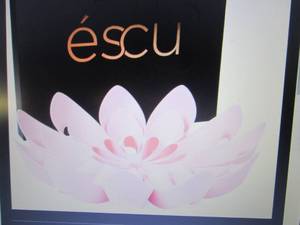 lot 116 image: Escu Bloom Fruit Bowl Retail $39.99...