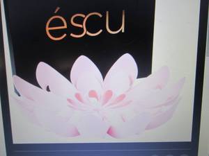 lot 117 image: Escu Bloom Fruit Bowl Retail $39.99...