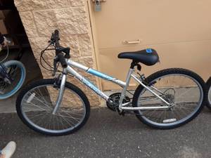 lot 49 image: Roadmaster Mountain Fury 24 15 Speed Bike