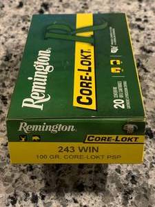 20 Rounds 243 Win Ammo Ammunition 100gr