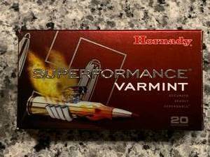 20 Rounds 204 Ruger 32gr Ammo Ammunition