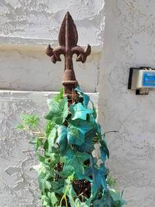 lot 52 image: Set of Faux Ivy Topiary