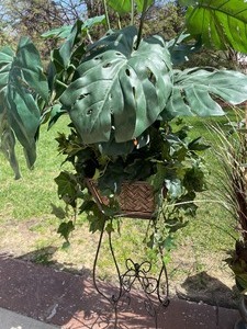 lot 46 image: 3 Faux Plants in Decorative Holders