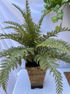 lot 48 image: 2 Faux Ferns and More