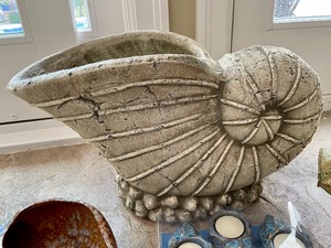 lot 100 image: Seashell Decor and More