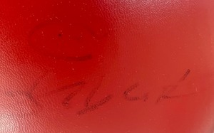 lot 143 image: Autographed Everlast Boxing Gloves