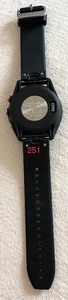 lot 251 image: Garmin Approach 560