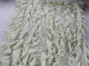 Shower Curtain retail $40...
