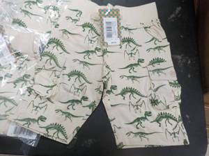 Dinosaur Shorts 16 size 4 years Coy...
