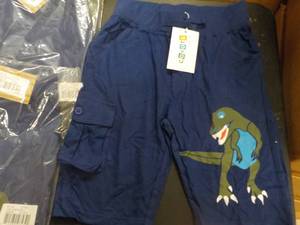Navy Dinosaur Shorts Coyote and Co...