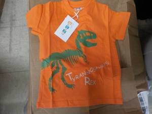 Tyrannosaurs Rex Orange T-shirt Coy...