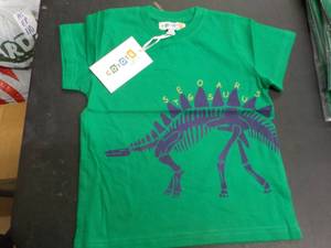 Stegosaurus T-shirt Coyote and Co. ...
