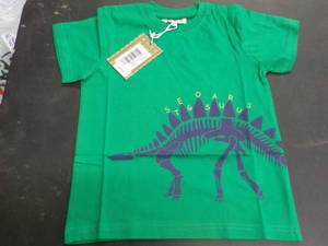 Stegosaurus T-shirt Coyote and Co. ...