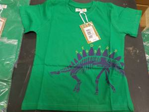 Stegosaurus T-shirt Coyote and Co. ...